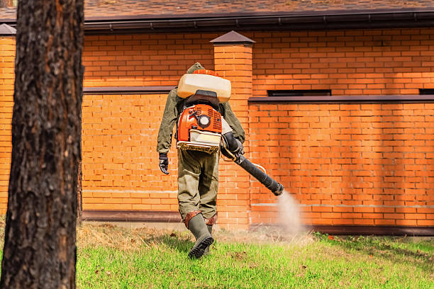 Trusted Rodent Control service in McConnelsville, OH - Nex Pest Control